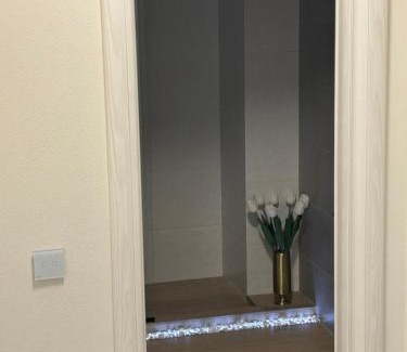 Sibiu Apartment | Hermann Central Apartment