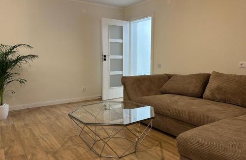 Sibiu Apartment | Hermann Central Apartment