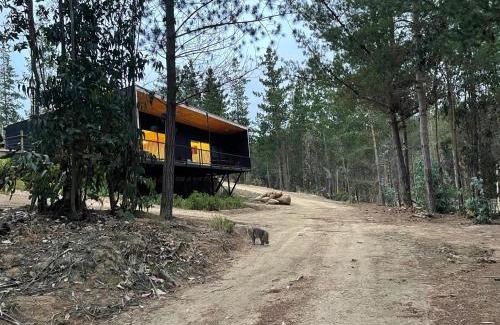 El Quisco House | Hermosa casa en el bosque