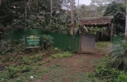Tambopata Cottage | Hermoso Lodge Privado en el Amazonas