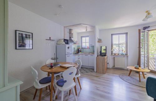 Todtnauberg Apartment | HERZGRÜN direkt an traumhaften Wanderwegen Balkon mit toller Aussicht Sauna im Haus Tiefgarage E-Ladestation