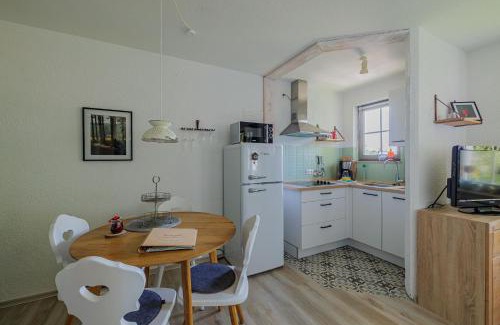 Todtnauberg Apartment | HERZGRÜN direkt an traumhaften Wanderwegen Balkon mit toller Aussicht Sauna im Haus Tiefgarage E-Ladestation