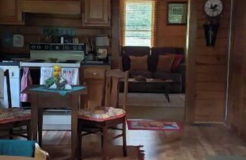 Luray Cabin | Hickory Hill Hideaway