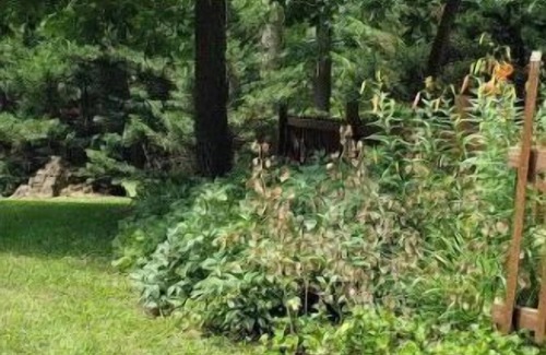Luray Cabin | Hickory Hill Hideaway