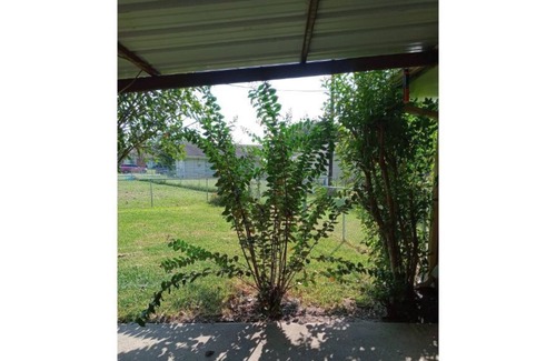 Mabank House | Hidden Gem! 3 Br/2Ba Home w/ Pets Welcome!