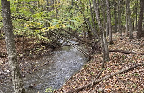 Acra House | Hidden Gem on 14 Acres 4400sq ft 10Min to Windham