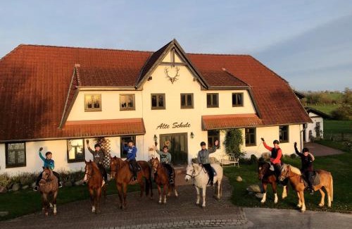 Dargun Apartment | Hiddensee - Alte Schule Barlin
