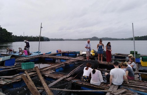 Dodanduwa Hostel | Hikkaduwa Lagoon View ECO Hostel