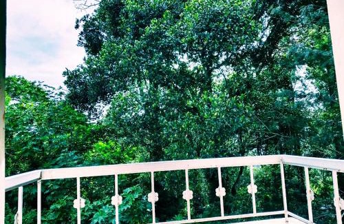 Yercaud Hotel | Hillside Resort