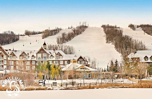 Craigleith Condo | Hillside Studio 1 in Blue Mountain, Mountain View, Full Kitchen, Free Parking