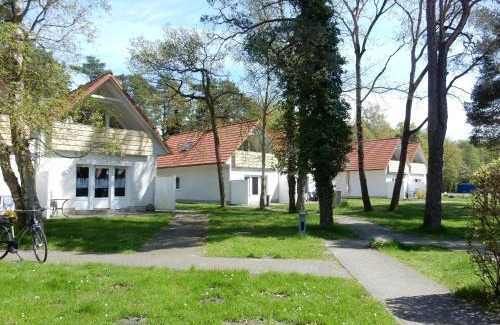 Ostseebad Prerow Apartment | Hinter den Dünen D80