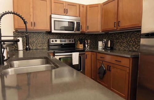 Roanoke Apartment | Historic brick charm 1BR downtown