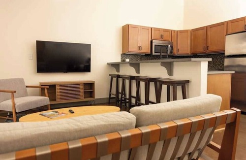 Roanoke Apartment | Historic brick charm 1BR downtown