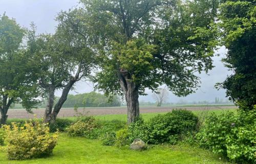 Stokkemarke Villa | Historic Summer House From 1877 With Scenic View