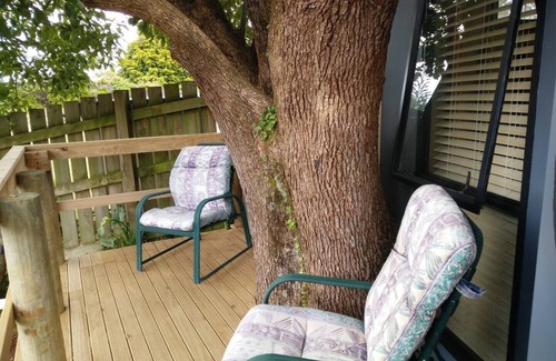 Waikino Cabin | Hobbit tree house in Waikino.