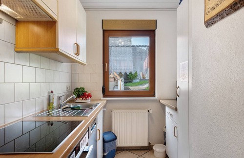 Schollach Apartment | Holiday Apartment 'West' with Shared Terrace, Shared Garden and Balcony