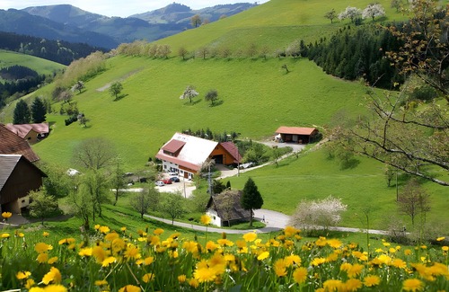 Zell am Harmersbach Apartment | Holiday Apartment 'Schäfchen' with Shared Garden and Wi-Fi