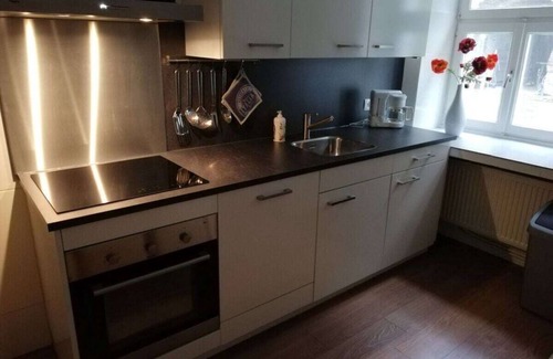Winterberg House | Holiday apartment hunting lodge Siedlinghausfloor