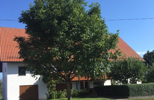 Tannheim Apartment | Holiday apartment Tannheim for 1 - 5 persons with 3 bedrooms - Holiday apartment in one or multi-fam