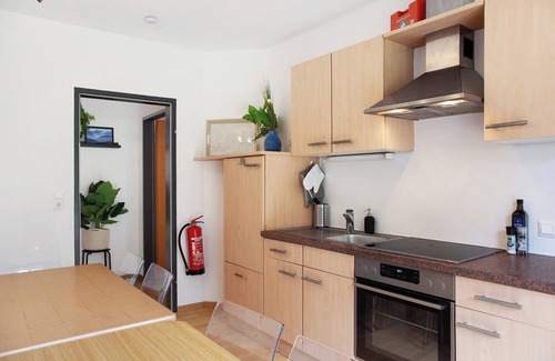Mayrhofen Apartment | Holiday Apartment 'Tux' with Mountain View, Garden, Terrace & Wi-Fi