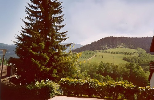 Bad Peterstal-Griesbach Apartment | Holiday Apartment 'Matteit' with Balcony