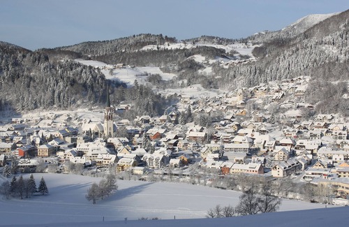 Schoenau im Schwarzwald Apartment | holiday apartment/apt. for 3 guests with 55m² in Schönau im Schwarzwald (174159)