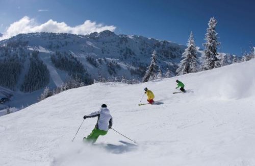 Burgstall Apartment | Holiday flat near four ski lifts in Mayrhofen