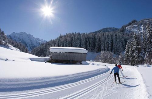Burgstall Apartment | Holiday flat near four ski lifts in Mayrhofen