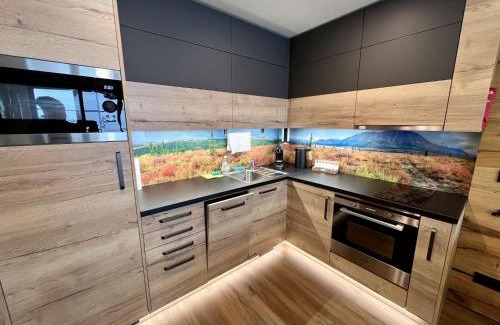Ricky v Orlickych horach House | Holiday Home Říčky F39 by Interhome