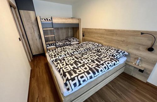 Ricky v Orlickych horach House | Holiday Home Říčky F39 by Interhome