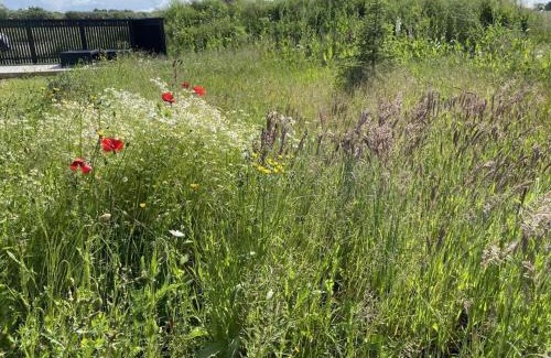 Hvidbjerg Strand House | Holiday Home Anelle - 500m from the sea by Interhome