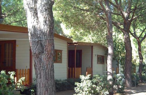 Marina di Bibbona House | Holiday Home Gineprino-2 by Interhome