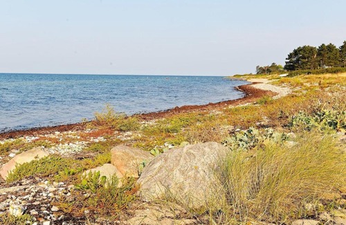 Martofte House | Holiday home Martofte II