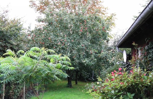 Großegaarde House | Holiday Home "Ockholm" Simple and Rural