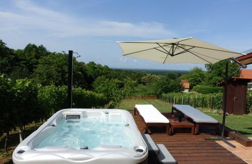 Velika Gorica House | Holiday home Podgaj