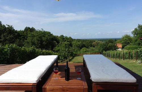 Velika Gorica House | Holiday home Podgaj