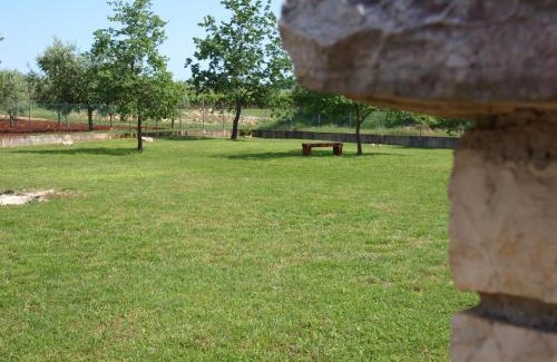 Gedici House | Holiday Home Rosa