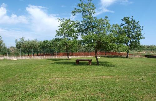 Gedici House | Holiday Home Rosa