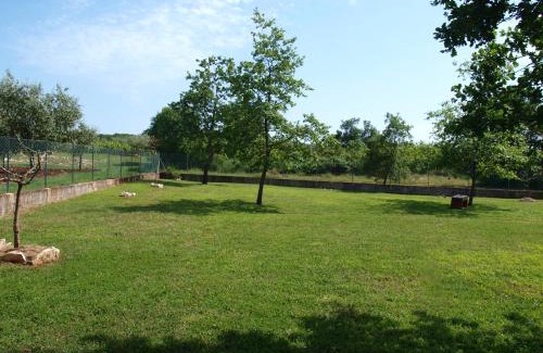 Gedici House | Holiday Home Rosa