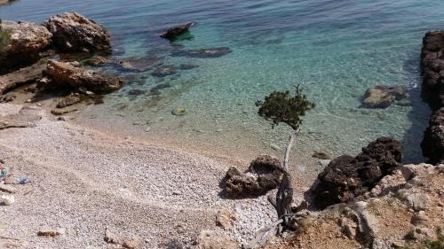 Jelsa House | Holiday Home Rubinić