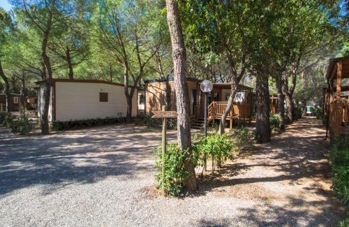 Marina di Bibbona House | Holiday Home Venus-12 by Interhome