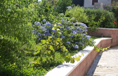 Cilipi House | Holiday house Cilipi for 1 - 8 persons with 4 bedrooms - Row house
