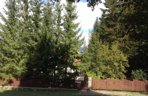 Sinaia House | Holiday House in Dracula Land - the Carpathians
