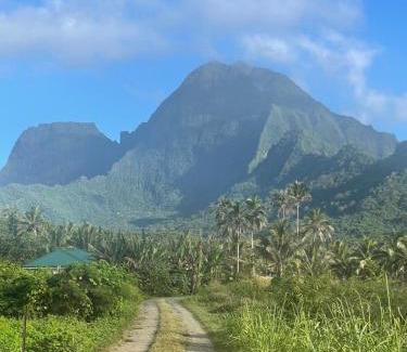 Moorea-Maiao House | Holiday house Nuupure - Accès plage privée & terrain de Pickelball