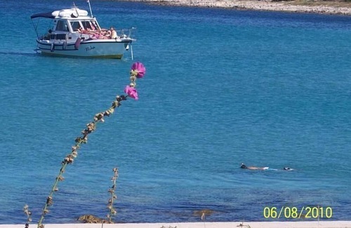 Silba House | Holiday house Silba (Ort) for 1 - 4 persons with 2 bedrooms - Holiday house