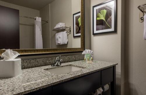 Austin Hotel | Holiday Inn Austin Airport by IHG