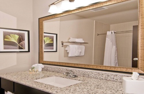 Austin Hotel | Holiday Inn Austin Airport by IHG