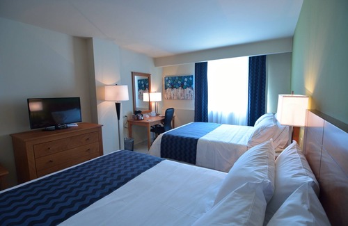 El Tezal Hotel | Holiday Inn Express Cabo San Lucas by IHG