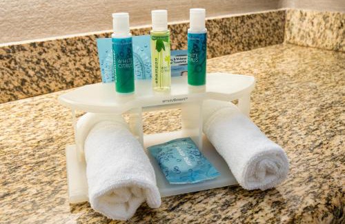 Santa Clara Hotel | Holiday Inn Express & Suites Santa Clara by IHG