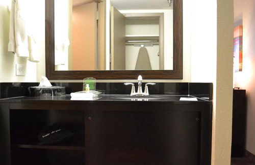 Astrodome Hotel | Holiday Inn Houston S - NRG Area - Med Ctr by IHG